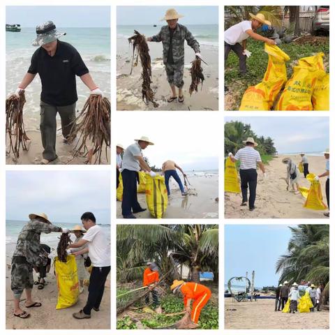 东英镇开展“守护碧海银滩 筑牢生态屏障”海洋净滩志愿服务活动