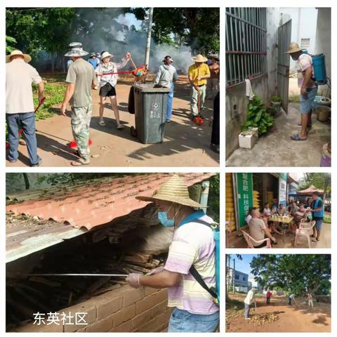 东英镇持续开展周末爱国卫生运动暨“党旗领航驱蚊患 守护健康暖民心”主题党日活动