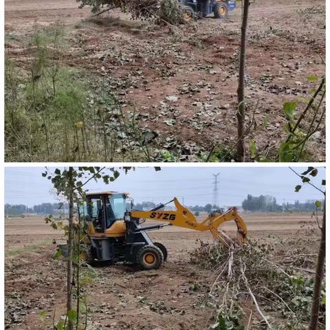 杏花营街道“一中心四平台”今日工作简报