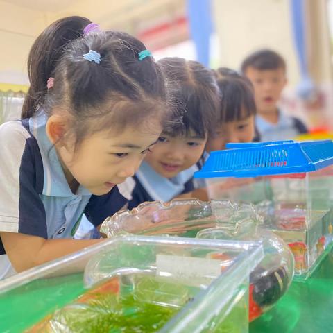 小一班主题活动｜小鱼游游游