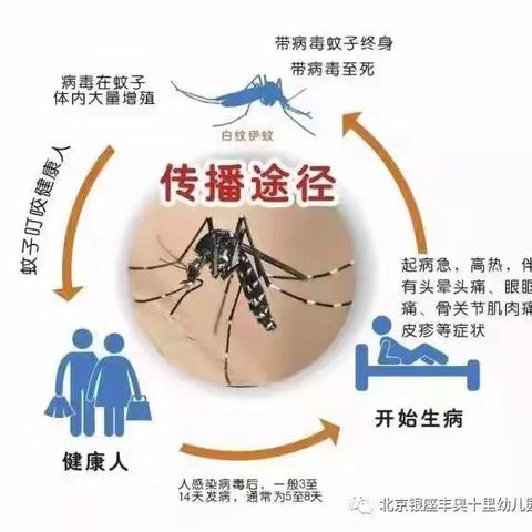 清积水，灭成蚊——防控登革热盘屿社区在行动