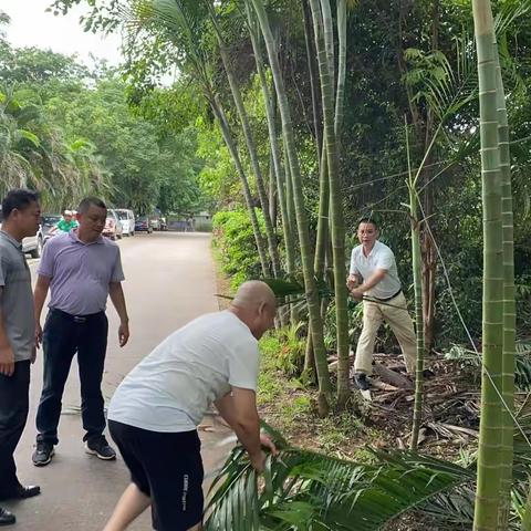 永庄村开展爱国卫生运动暨第三轮“灭蚊蝇 清垃圾”专项活动