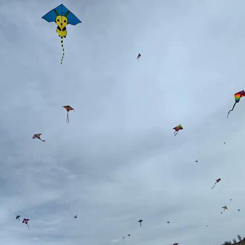 春风起处，纸鸢翩跹—星辰一班小豆丁们风筝节里的成长诗行