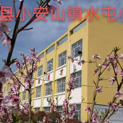 家校合力护成长 双向奔赴育未来——梁山县小安山镇水屯小学家长进校园活动