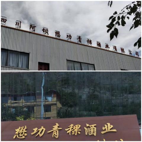 四川省军促会考察懋功青稞酒业