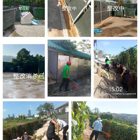 按市综合执法局及社区登革热疫情防控工作整改要求