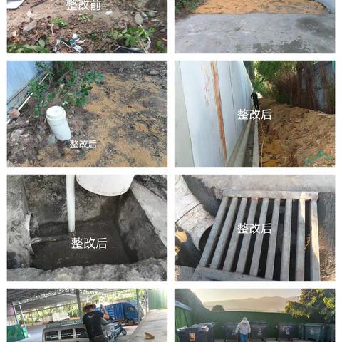 按荔枝沟社区登革热疫情防控工作整改情况报告要求，