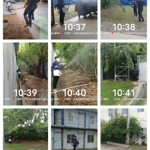2025年7月28日三亚市政府公益性批发市场持续开展“蚊虫孳生地、卫生死角”大扫除活动
