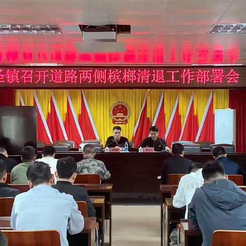 南圣镇召开道路两侧槟榔清退工作部署会