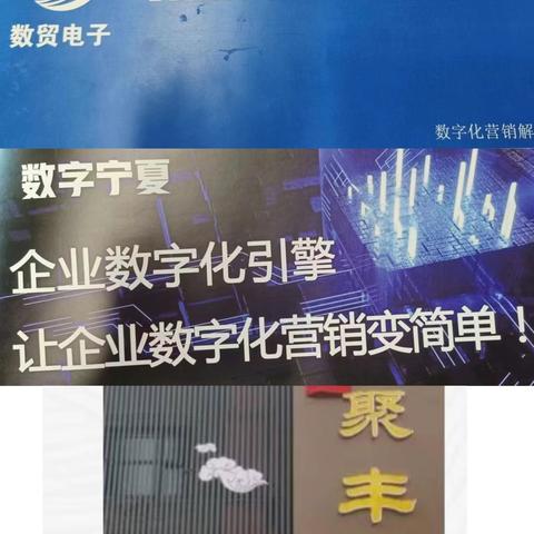 宁夏数贸电子商务服务有限公司数字化营销转型方案|助力聚丰楼数字化营销转型