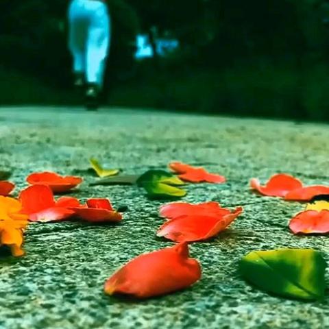 旭日东升AI演唱作品（二）