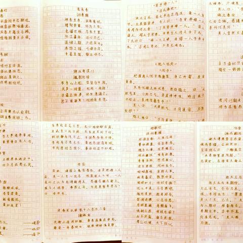 2001班暑假特色作业集锦：不负时光，成长一夏