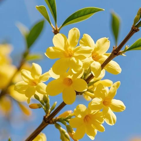 托班三月份总结