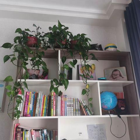 争做书香少年，创建书香家庭—书香润泽心灵，阅读丰富人生！