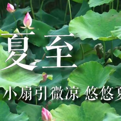 夏至如期  向阳而立