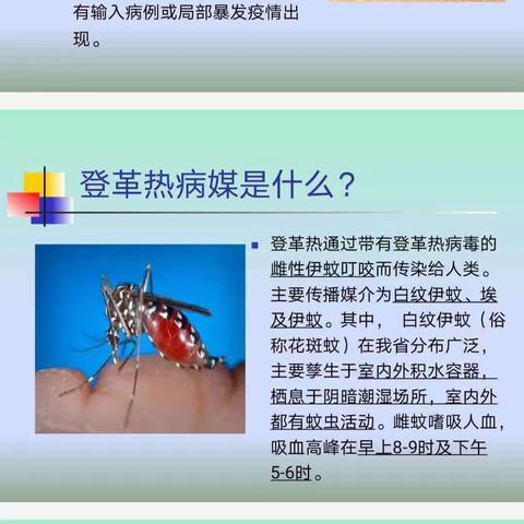 圣娃幼儿园“清洁家园，防蚊灭蚊”做好登革热防控工作致家长的一封信