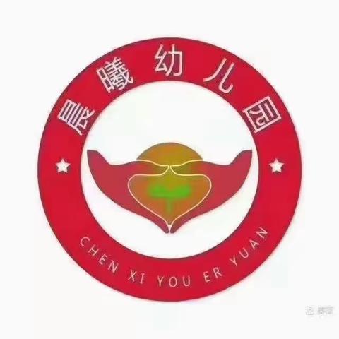 【国旗飘飘.伴我成长】晨曦幼儿园中二班升旗🇨🇳仪式