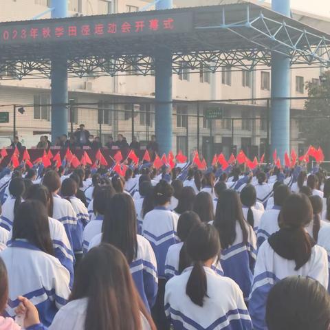 体坛青春际会，校园运动乐章——22幼教六班