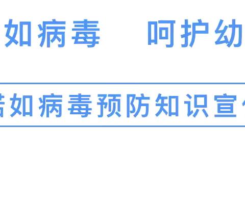 【卫生保健】预防诺如病毒，呵护幼儿健康