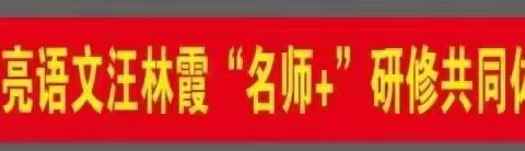 奋斗之路漫且长，拼搏之心永不忘 ——点亮语文汪林霞工作室年末总结