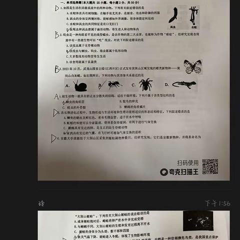 削霸组小组总结