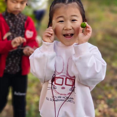 秋日里的拾叶时光