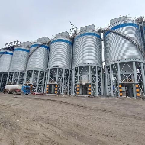 服务至上 西戌镇积极推进项目建设