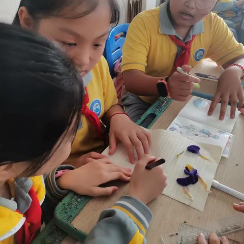 课题支教促成长 科学探究绽火花——陈吉英老师长流中心小学送教活动纪实