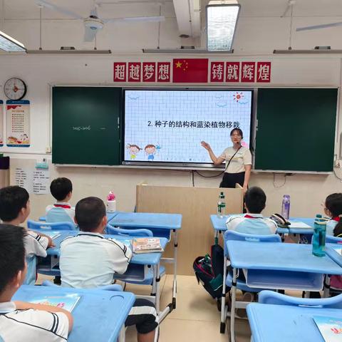 2025-2026学年海口市滨海第九小学“慧趣农场”校本课程《种子的结构与蓝染植物的移栽》纪实