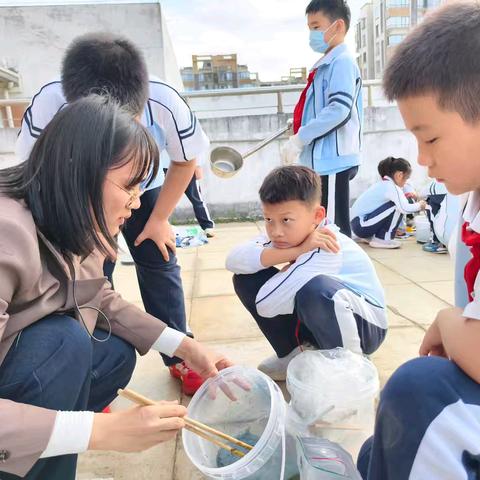 2025-2026学年第一学期慧趣农场校本课程《蓝腚泥提取实验》纪实