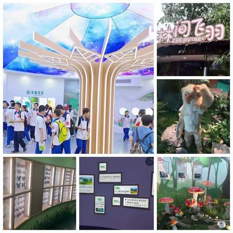 “研”有所思，“学”有所获——韶关市第九中学七（4）班开展研学活动