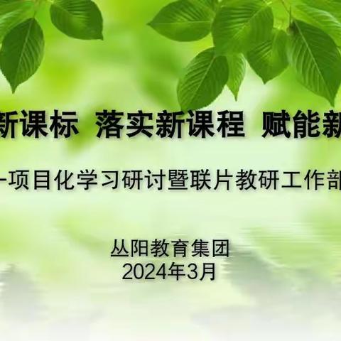 聚焦新课标 落实新课程 赋能新课堂——丛阳教育集团英语项目化学习研讨暨联片教研工作部署