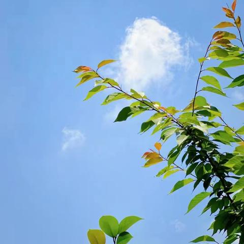 2024 年 7月份第 三周工作汇报