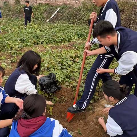 中海超越班劳动实践活动