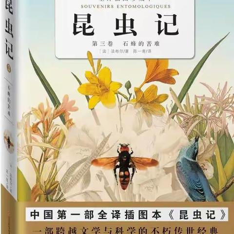 小昆虫·大世界——九龙学校八年级117班《昆虫记》名著阅读作业展