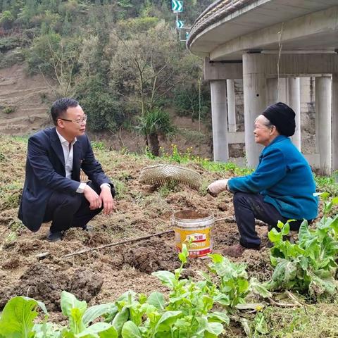 菜花黄来麦苗儿青—2023年3月驻村掠影精选