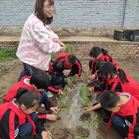 喜迎劳动节，向劳动者致敬—大唤起小小学六年级“ 五一”劳动节美篇