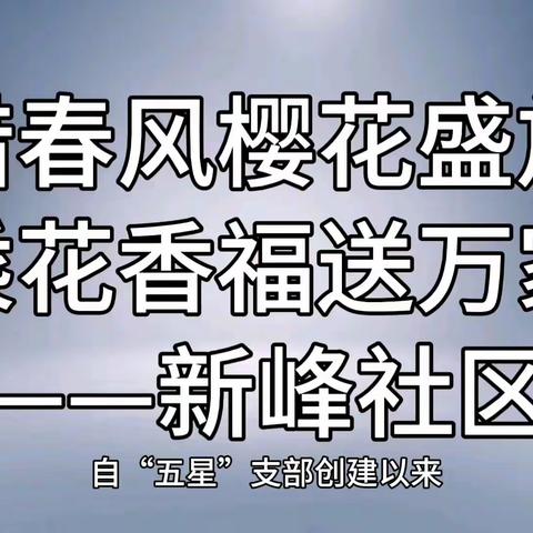 借春风樱花盛开 乘花香福送万家