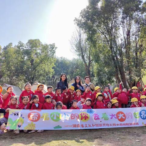 冬日晴方好，牵你看世界