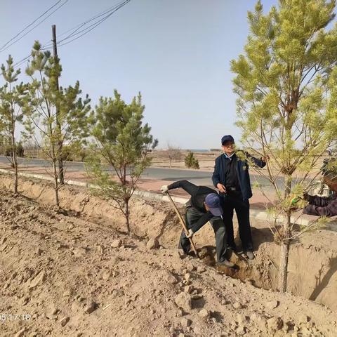 播撒绿色希望，共建美丽家园——大坝镇八一村开展义务植树活动