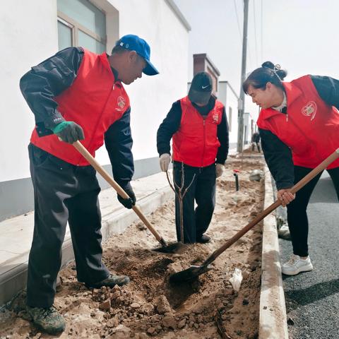 义务植树添新绿，安置家园启新程 —大坝镇城西村开展义务植树活动