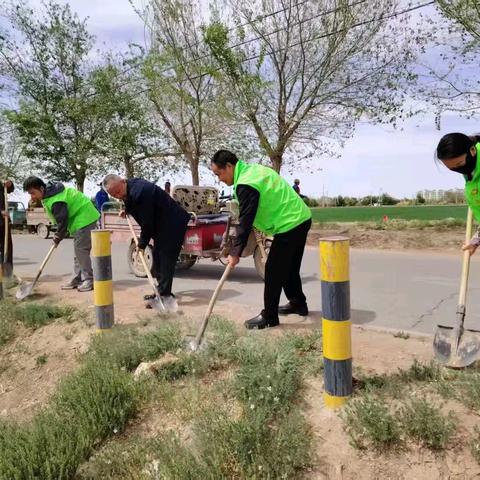 大坝镇：聚力环境卫生整治 共筑乡村美好家园