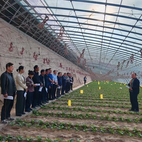 观评亮底找差距 比学提质焕新颜 ﻿