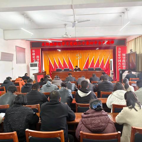 深学细悟凝共识 实干笃行促发展——大坝镇传达学习党的二十届四﻿中全会精神