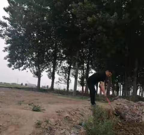 东杨庄镇开展河道清理工作