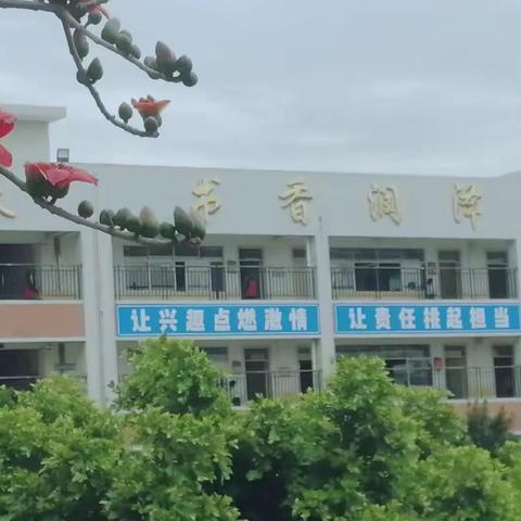 成长路上展风采——新纪元小学新教师汇报课活动