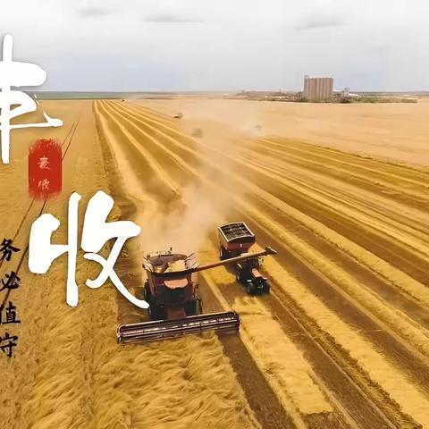 田间地头收麦忙 真情帮助暖人心