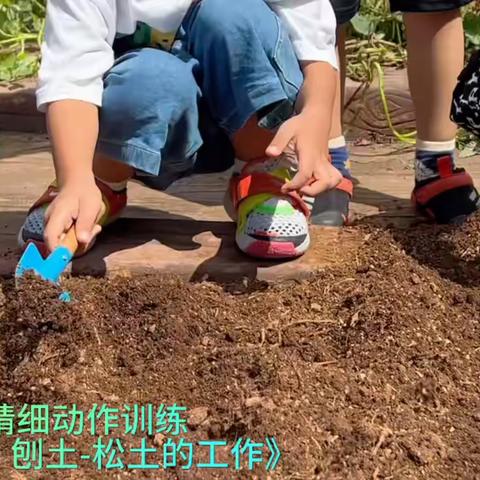 食育活动中培养幼儿动手能力的实践研究—小班“探秘红薯”为例之幼儿精细动作训练视频集