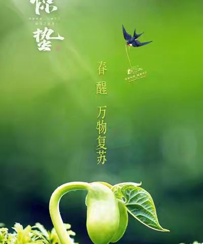 二十四节气的奇妙之旅 惊蛰--唤醒春天的节气
