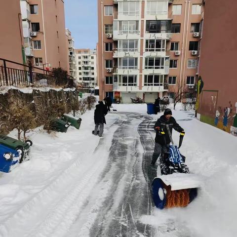 鸿蕴物业顶风雪，守护居民安全出行